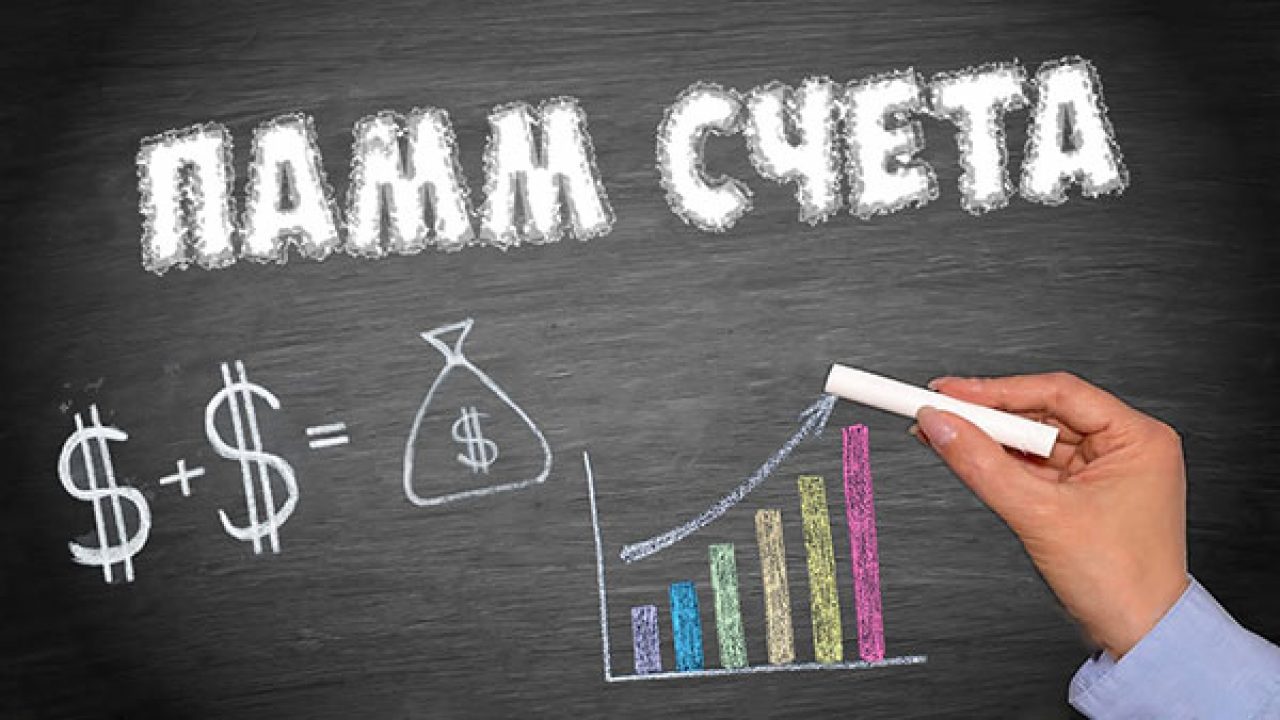 Как работают ПАММ-счета?