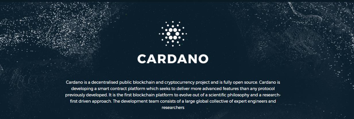 обзор платформы cardano