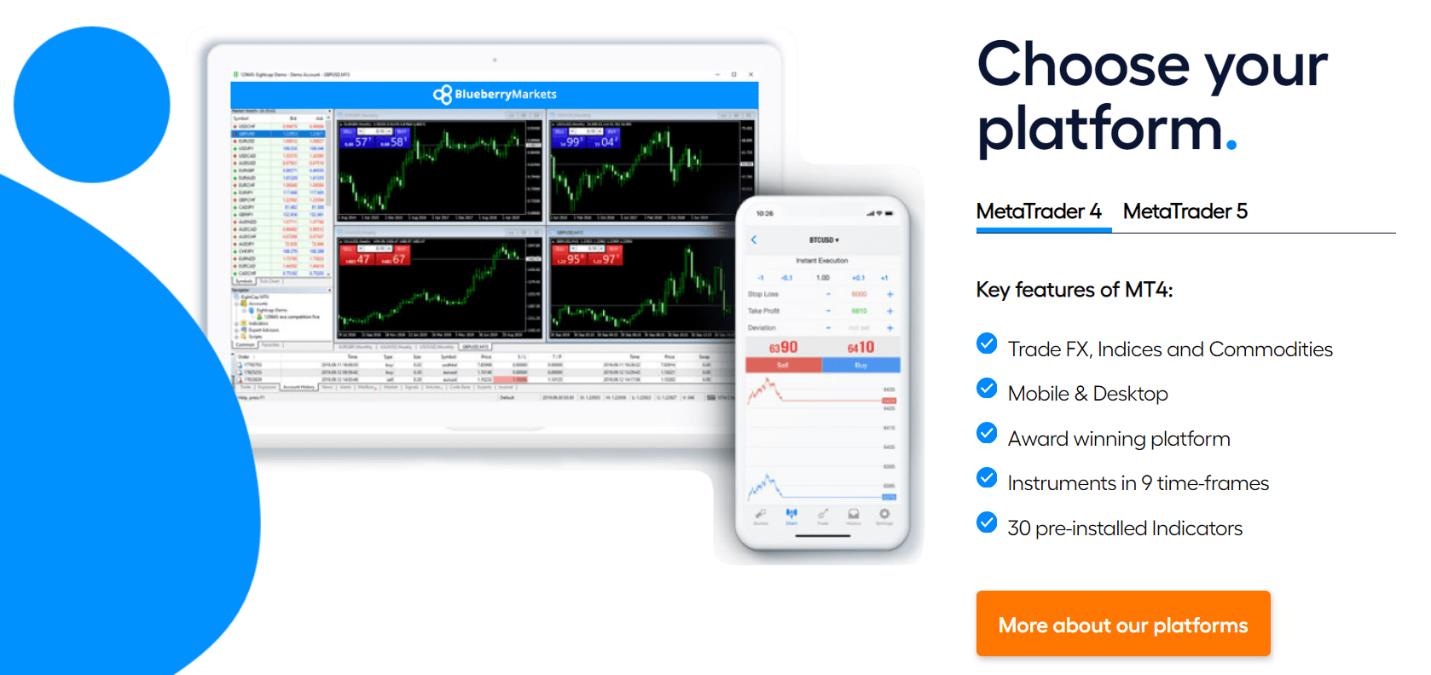 обзор торговой платформы blueberry markets