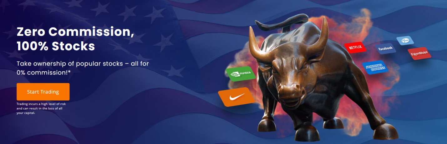 company site overview