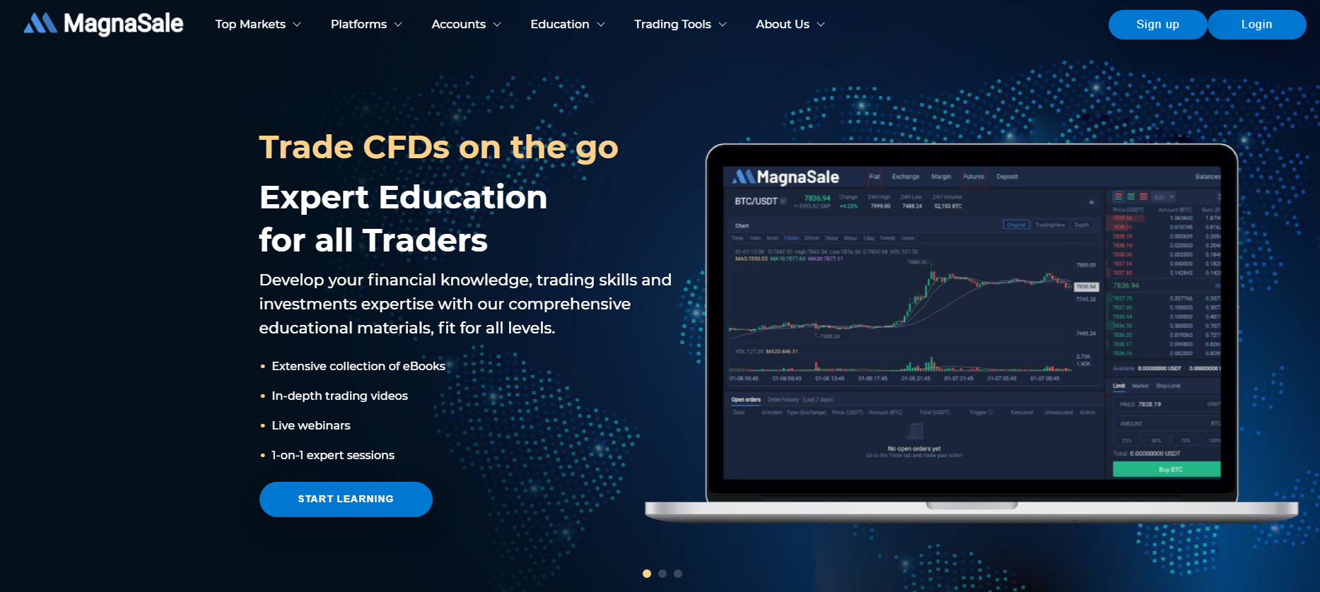 magnasale site company