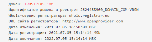 возраст домена