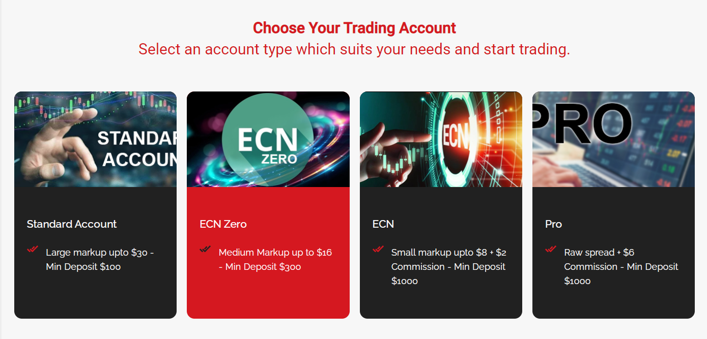 торговые счета компании 