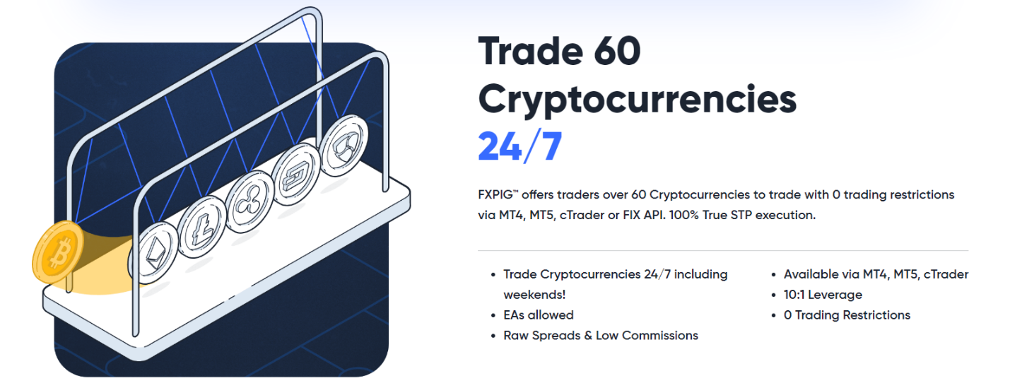 FXPIG торговые платформы