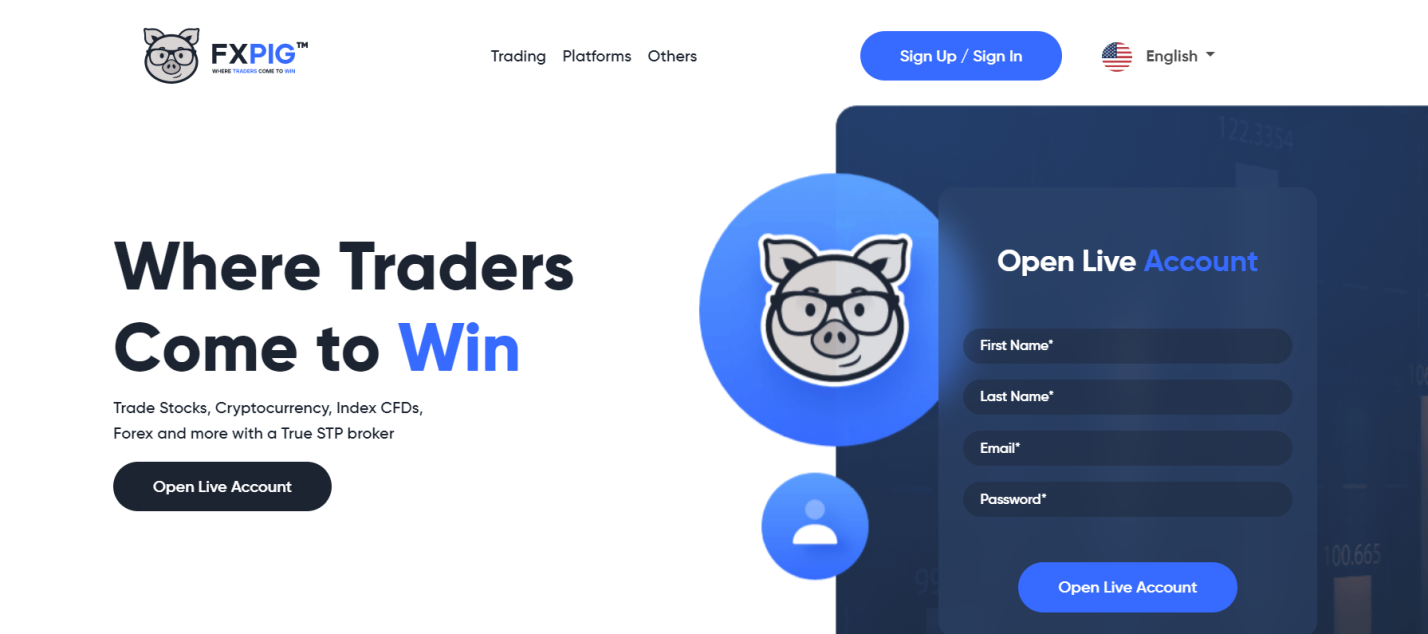 FXPIG: анализ брокера