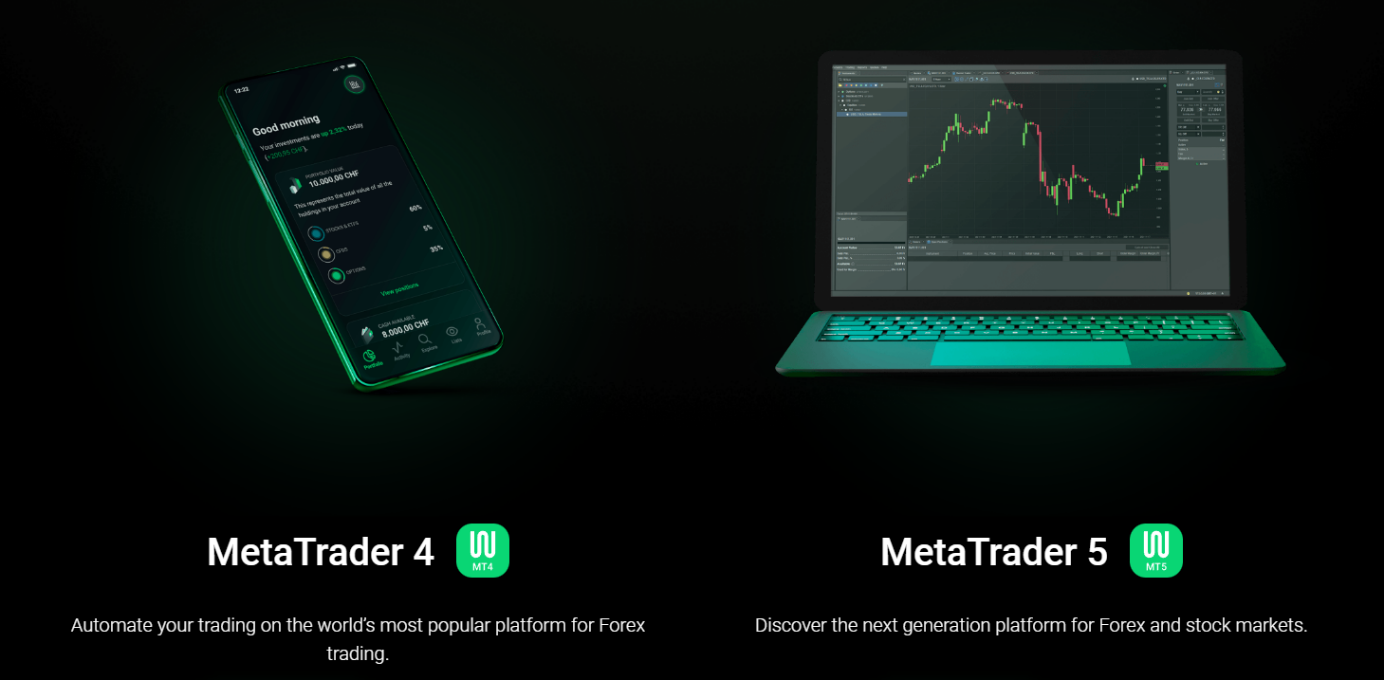 Анализ веб-портала компании
